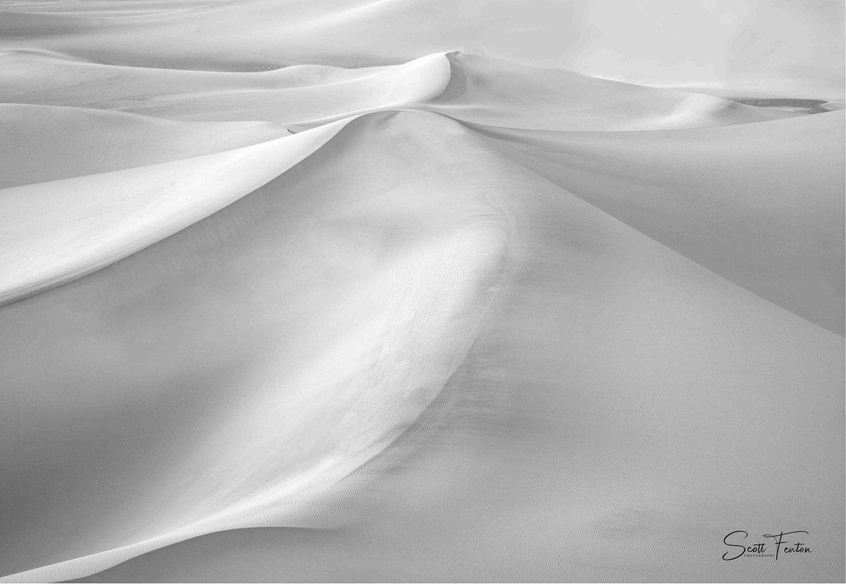 sdfenton's tweet photo. "Dune" https://t.co/ZVU61Vqzox #art #artist #love #drawing #photography #artwork #instagood #photooftheday #instagram #painting #coffee #realestate #business #cio #sale #gift #love #print #discount #morning #park #nature
@sdfenton #sandune #free https://t.co/JAokczBrUw