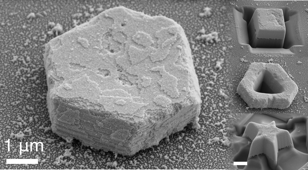 How can the mechanical properties of self-assembled nanocomposites be programmed? 

Fun collaboration b/w <a href="/Macfarlane_RJ/">Rob Macfarlane</a>, J. Andrade, and our team <a href="/MITMechE/">MIT MechE</a> demonstrating the tunable mechanical properties of nanocomposite tectons (NCTs).
🔗: doi.org/10.1021/acs.na…