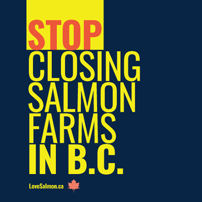 USWDistrict3's tweet photo. Reminder to stand in solidarity with our USW members in aquaculture. Please take a moment to sign the letter to politicians encouraging them to stop the closures of salmon farms in British Columbia.

Sign at: https://t.co/MmKgg6cGyd

#bcpoli #bclab #canpoli #canlab https://t.co/AcS8EHNWsH