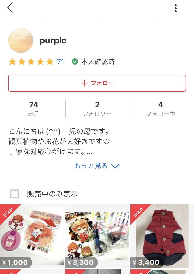 ❗️即購入不可購入前にコメントください ガゼットまとめ売り New Puzzle Collection 🧩 🌟新発売🌟 🇺🇸パークの新しいパズル
