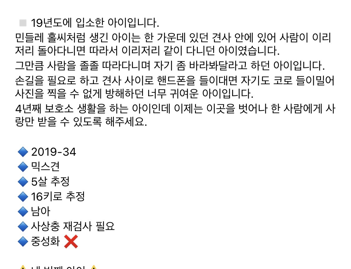 boriborisbori's tweet photo. 세상에 안타까운 아이도 정말 많고 모든 아이에게 손을 내밀 수 없는 게 현실이라는 거 잘 알고 있어요. 그러나 은후의 이모이기 때문에 이기적인 마음에 도저히 이 아이를 지나치지 못하겠어요. 이 아이에게 기회를 주세요. 6월 첫째주에 안락사가 될 예정이라고 합니다. 제발 살려주세요. https://t.co/R1KrGf0hFZ