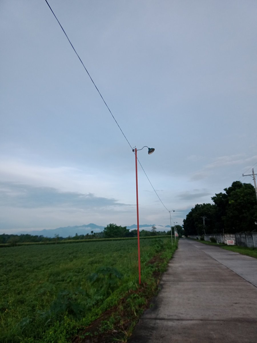victxrbenjamin's tweet photo. morning walk https://t.co/00pwdIjAjt
