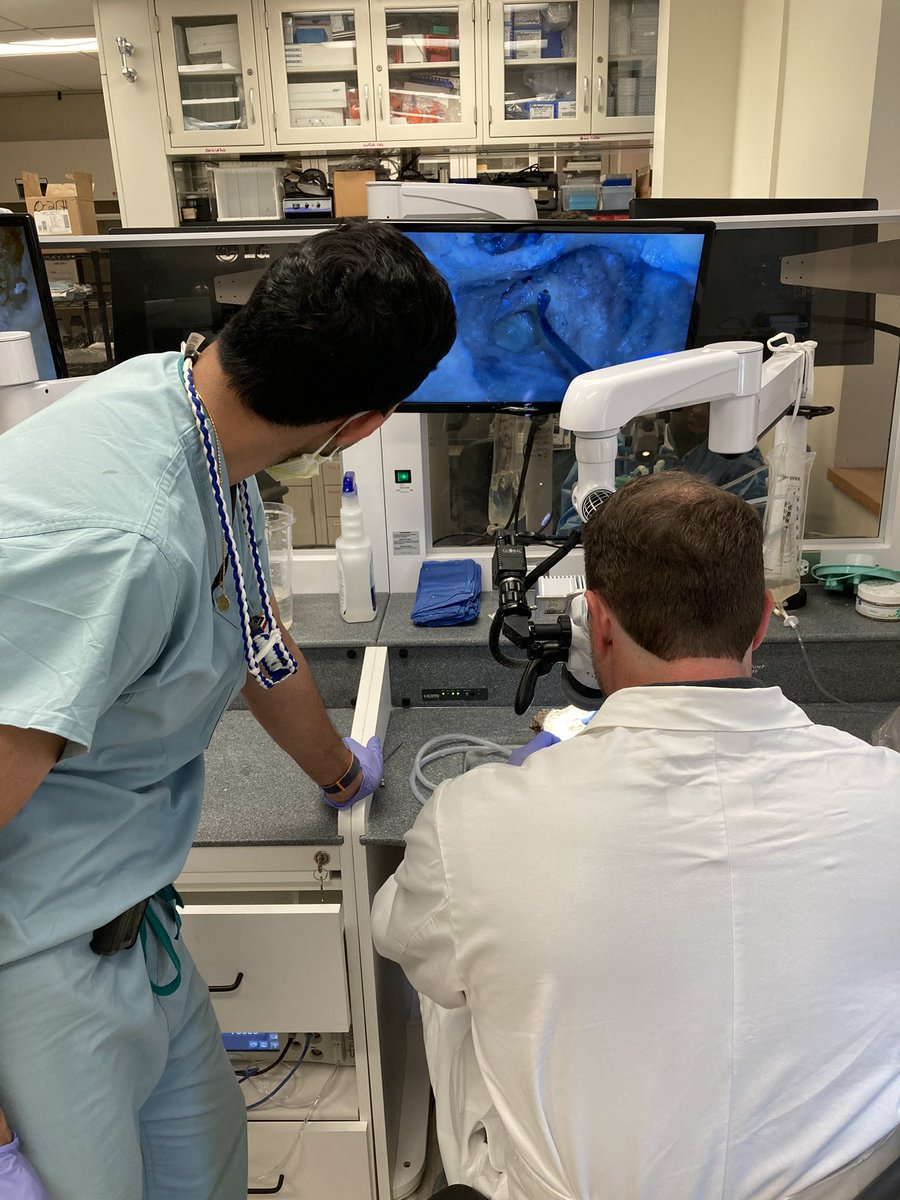 TedImbEARy's tweet photo. Tuesday night so that means we drill! @UChicagoOHNS #TemporalBone #Otology #ENT #PedalToTheMetal 💨💨💨 https://t.co/sOWHNvBFvk
