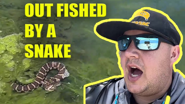 New YouTube video, I’m out fished by a snake 👀 

#fishing #snakes #bassfishing @dailyfishingBot @topfishingpics1 @TacoPackTeam 

OUTFISHED By A SNAKE #bassfishing #illinoisfishing #snake
youtu.be/06dnP9o8sio