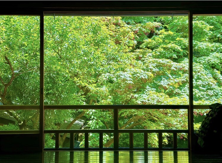 流れる時間、すべて運命の中の美しい飾りになって、静かで、何も言わないのはすべて良い景色です。