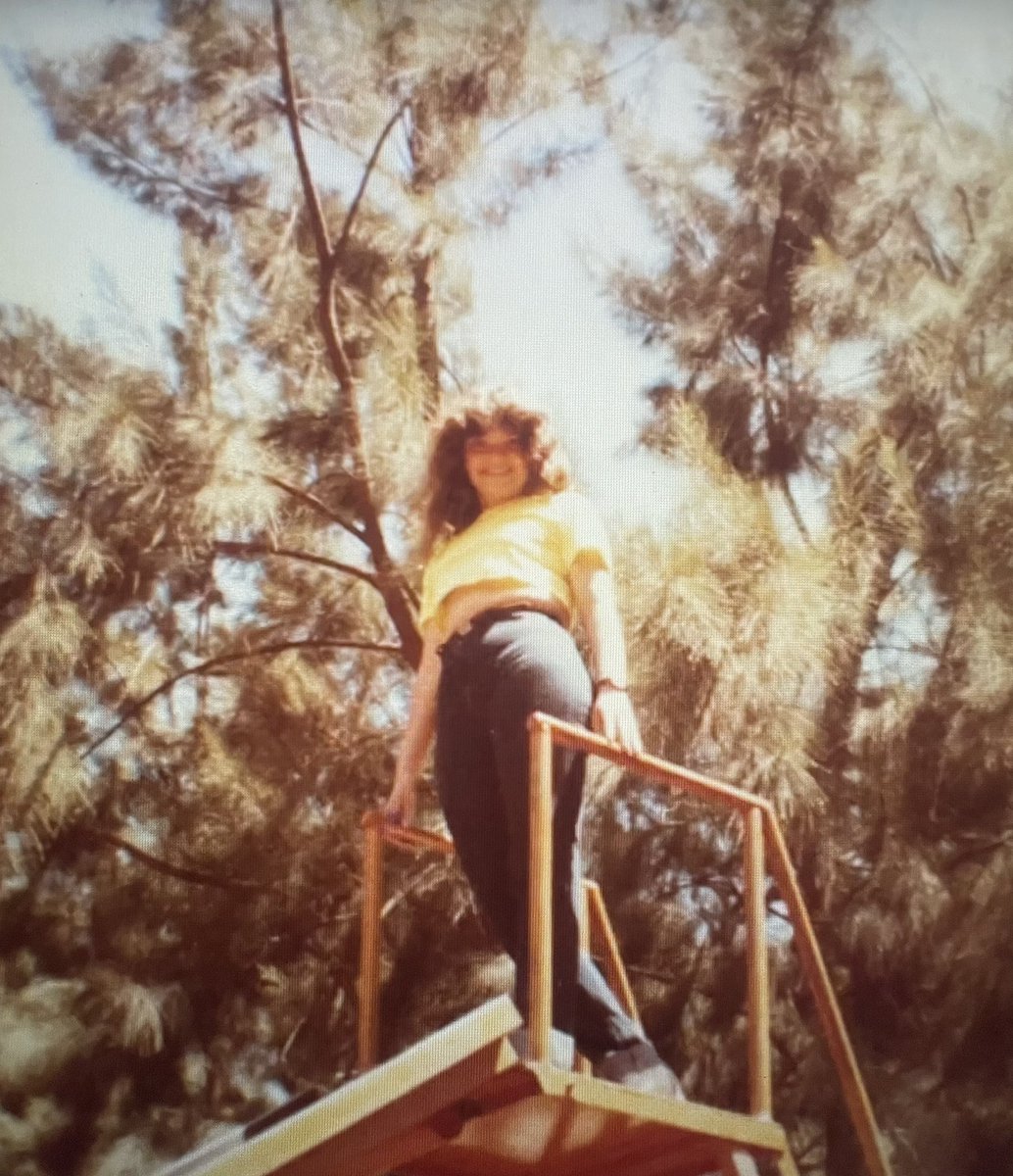 perluuuhhh's tweet photo. I wore my moms yellow blazer for graduation, and little butterfly bracelet she got me from Mexico years ago, bc my nephew once said that grandma visits him as a yellow butterfly. Afterwards my brothers told me there was a yellow butterfly fluttering around during the ceremony💛🕊️ https://t.co/kssvcpx6Es