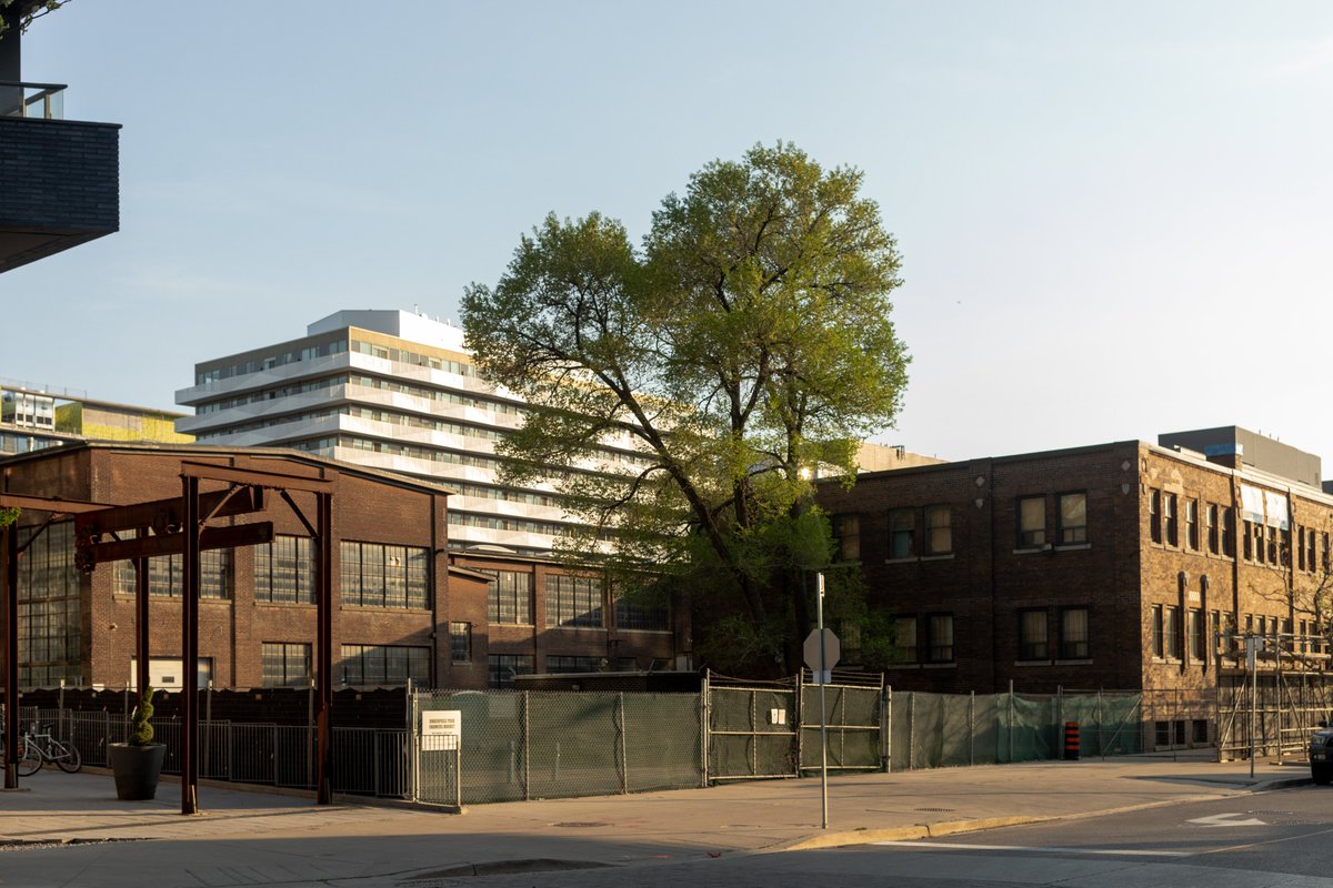 Edward Row 𓃡 tweet media