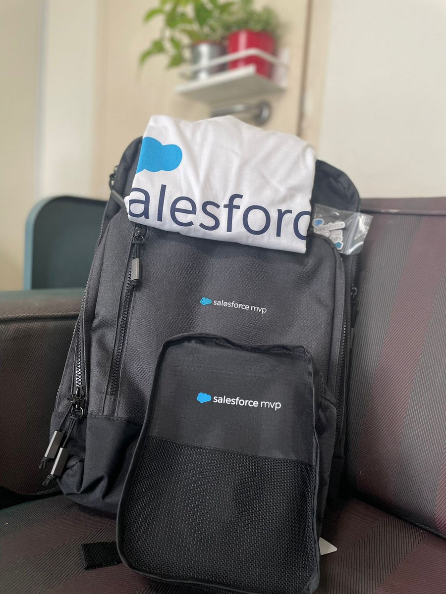 💜Thank you @salesforce and #TrailblazerCommunity Team for this special gift💙 #SalesforceMVP