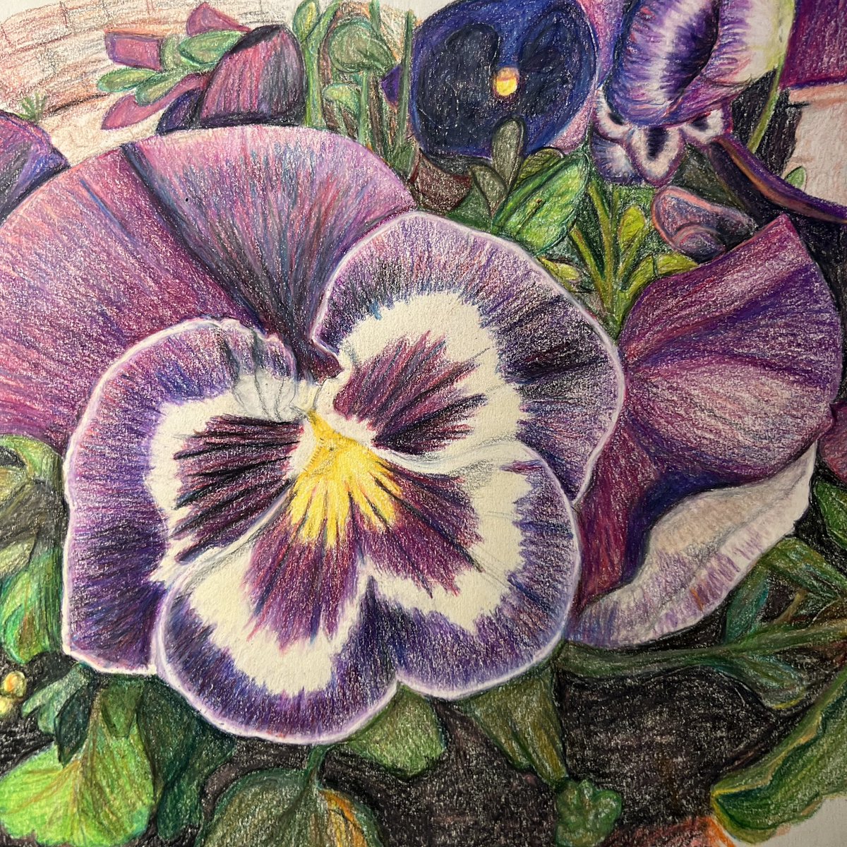 Sometimes therapy is drawing the pansies in your back yard. Happy Tuesday.
