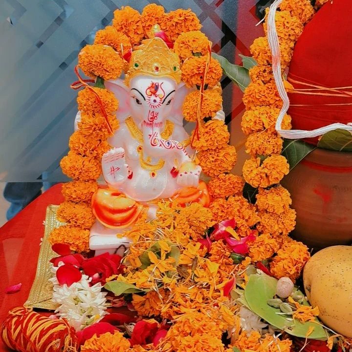 Mandi_Gate's tweet photo. Put your trust in God and leave the rest. Embracing our new office ceremony with everyone. Thank you for believing in us and helping us to get to this position. 

#MandiGate #MandiKart #ceremony #puja #ganapati #accelerator #newbegginings #fruits #vegetables #welcome #team #india https://t.co/yTQKDkU59n