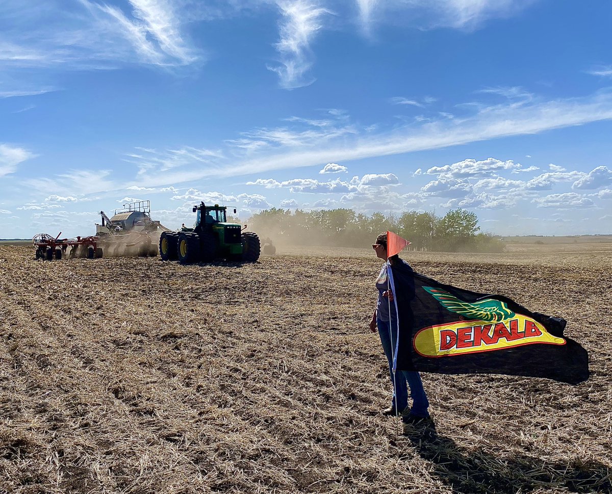 herzogtanis's tweet image. Was a great day getting to help @talissa_munce put in the last MD canola plot and as you can see, it was a windy one! 💨🌱😂
#dekalb #bayercropscience