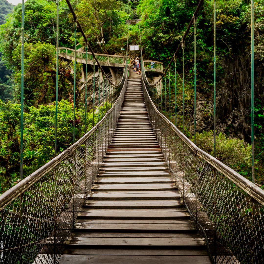 🐢 What comes to mind when you hear #biodiversity? Maybe bees, turtles or rhinos? 

That's all true, but biodiversity is even more! It includes all the habitats and ecosystems in which these animals live. But they are endangered worldwide! 

#WildlifeHeroes #ForNature