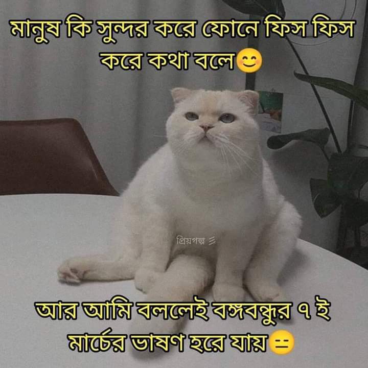 sssanta__'s tweet photo. @sssanta__  🤦 https://t.co/ltqJ9cxdrI
