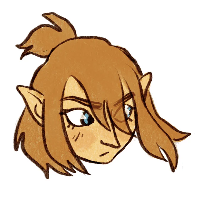 A quick Link from memory since I just finished #BOTW for the first time!