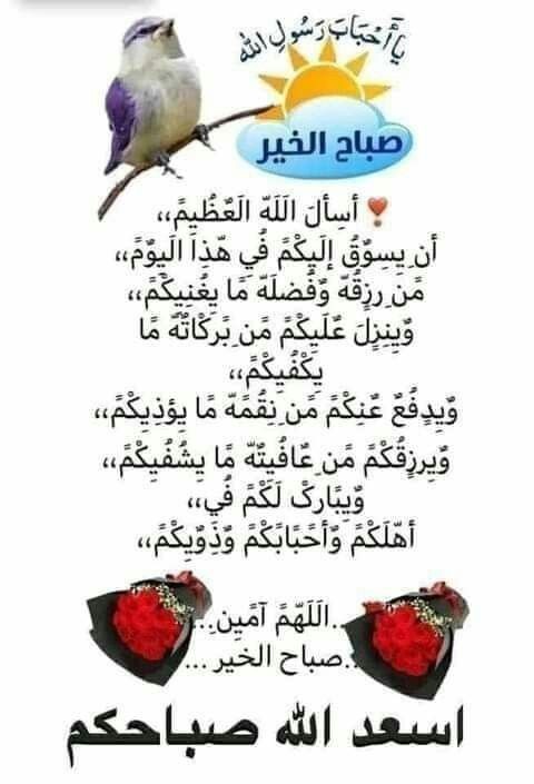 السلام عليكم ورحمه الله وبركاته
اسعد الله صباحكم بكل خير وسعاده ،💝💝💝💝💝💝💝💝💝💝💝💝