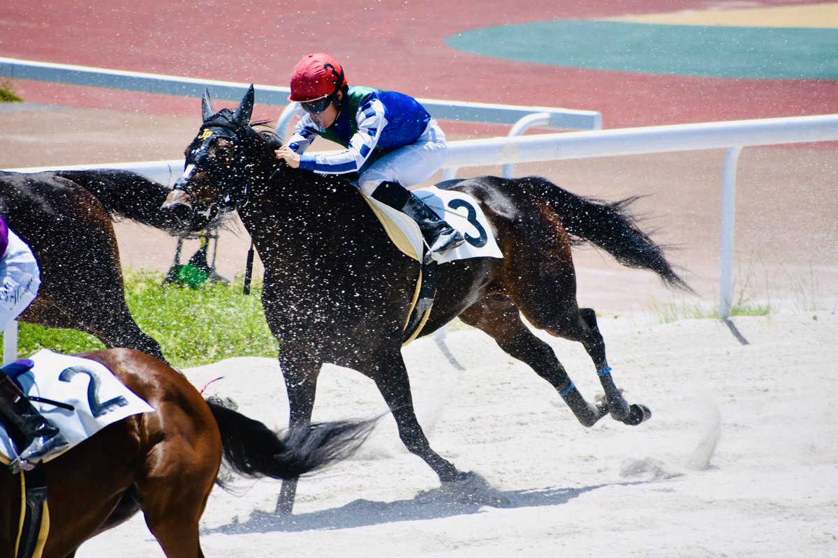 nama_tp's tweet photo. 笠松競馬場でジャンポケ斉藤さんのオマタセシマシタちゃん観戦〜！無事に走り切ってくれててよかった！それから笠松競馬のグルメ美味しいので堪能してきた これは串カツと鶏皮〜鶏皮のタレすごい美味しかったので次は土手煮食べよう https://t.co/Z5DKNEVlC7