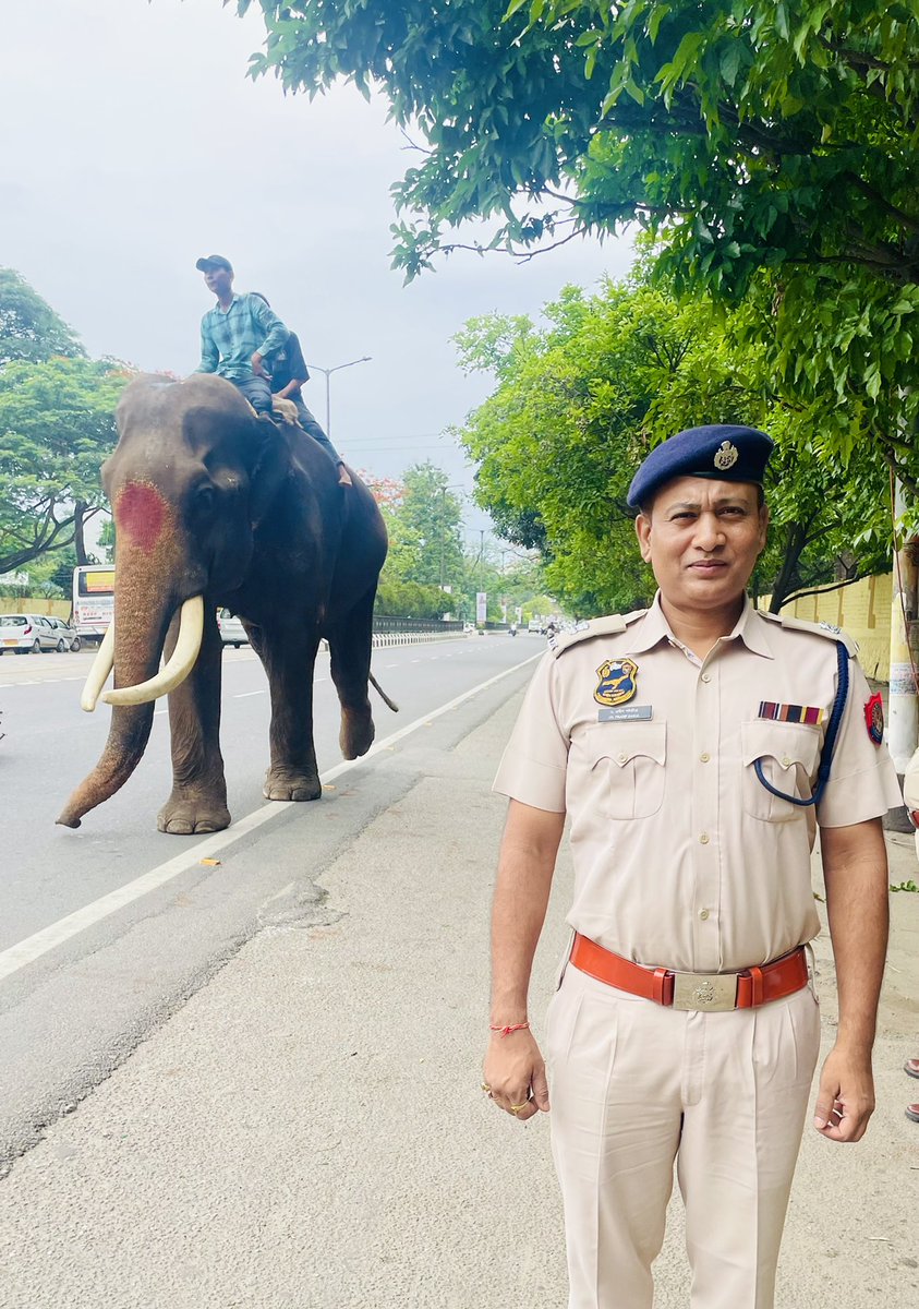 Good morning Guwahati!
#LawAndOrder #elephant #Police #duty