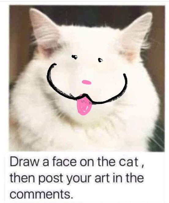 Dazzle | Team Wherewoof 🐺‼️⁉️ tweet media