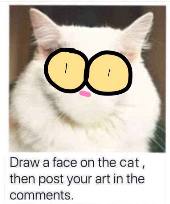 Dazzle | Team Wherewoof 🐺‼️⁉️ tweet media