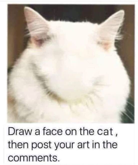 Dazzle | Team Wherewoof 🐺‼️⁉️ tweet media