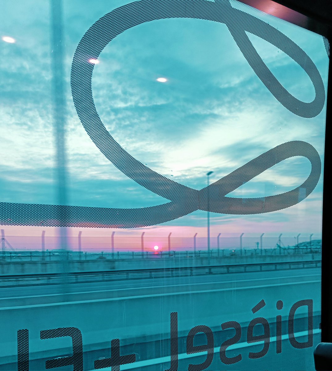 PyreneesPrime's tweet image. #Budapest are you ready! :)