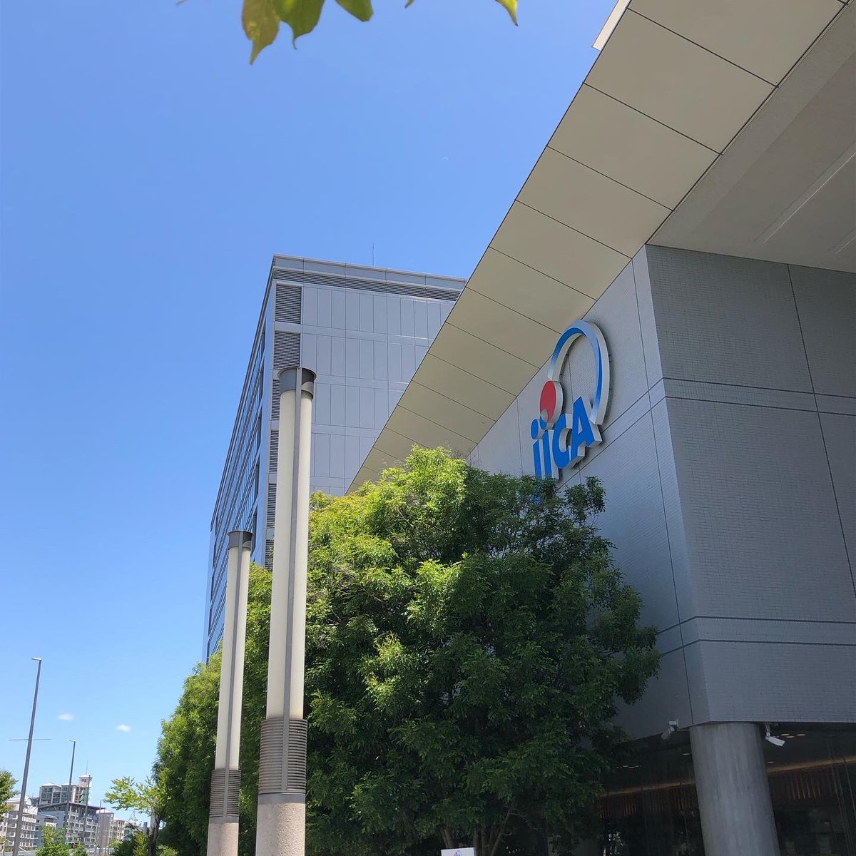 voiceofcoffee's tweet photo. 珍しい東ティモール料理が今ならJICA関西食堂で食べることが出来ます。

今月一杯です。ご興味有りましたら是非。そして東ティモールの珈琲豆ならVOICE of COFFEE まで。 https://t.co/IZDzSco5kv