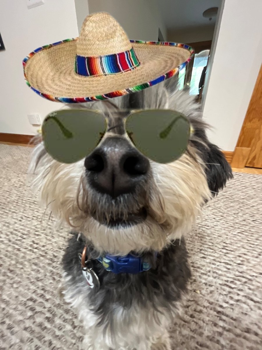 Felt cute might delete later idk