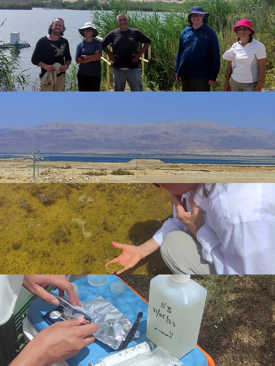 Sampling #phytoplankton in Sodom saltmarsh lake led by Dr. Tamar Zohary from  @IOLR with #hamaarag and <a href="/rashut_hateva/">רשות הטבע והגנים</a> .

#ecology #photosynthesis #climatechange