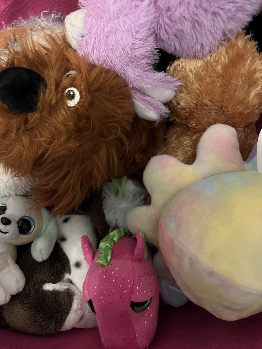 bmaas287's tweet photo. Sooo many plushies @FlossBoys
Letโs play the guessing gameโฆ
Guess how much for each was paid for each one. Come on guess. #fliplifechallenge -if you (or someone guesses, Iโll send one out) ๐
Plushie giveaway for twitter fam only.
๐๐
Rules:
1. Must be following myself & floss ๐
2. Must retweet ๐
2. You get one guess โ
3. You can ask one clue question โ
โจWinner can pick any plushie. These will still get listed however I will pull whichever one is desired. โจ
I will follow this up with some photos of all the options. ๐ ๐๐๐ฅ