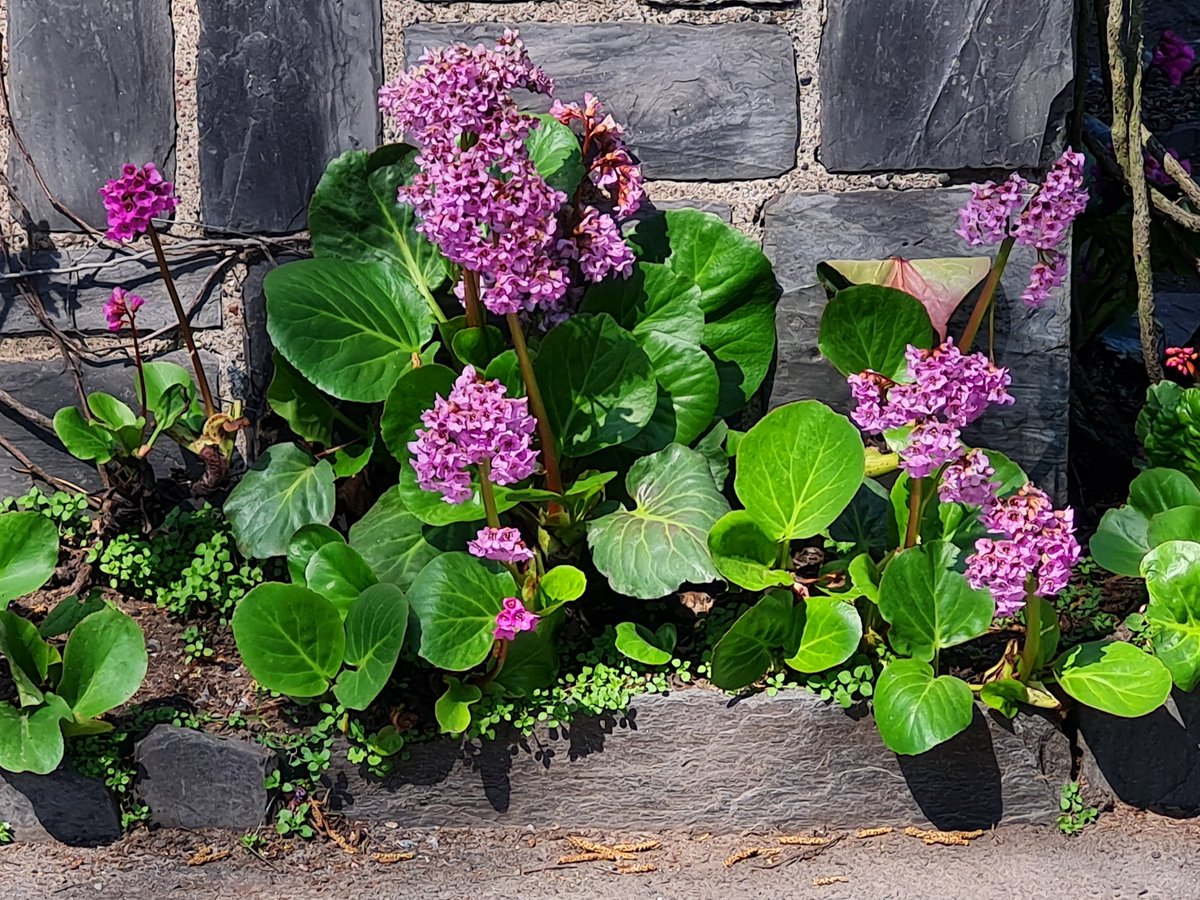 Lomat edessä? Kuinka teillä valmistaudutaan lomakauteen?
Tai mikä on toiminut aiemmin?
#johtaminen #työelämä #tiimityö #muistilista #keskiviikkokysymys #ratkes