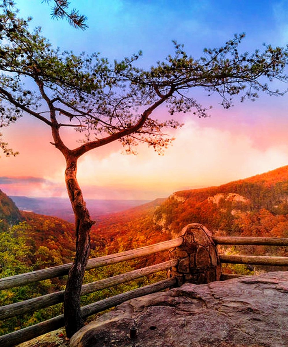 セシボーーーン！ on Twitter "RT LoveSongs4Peace Lone Tree and morning mist