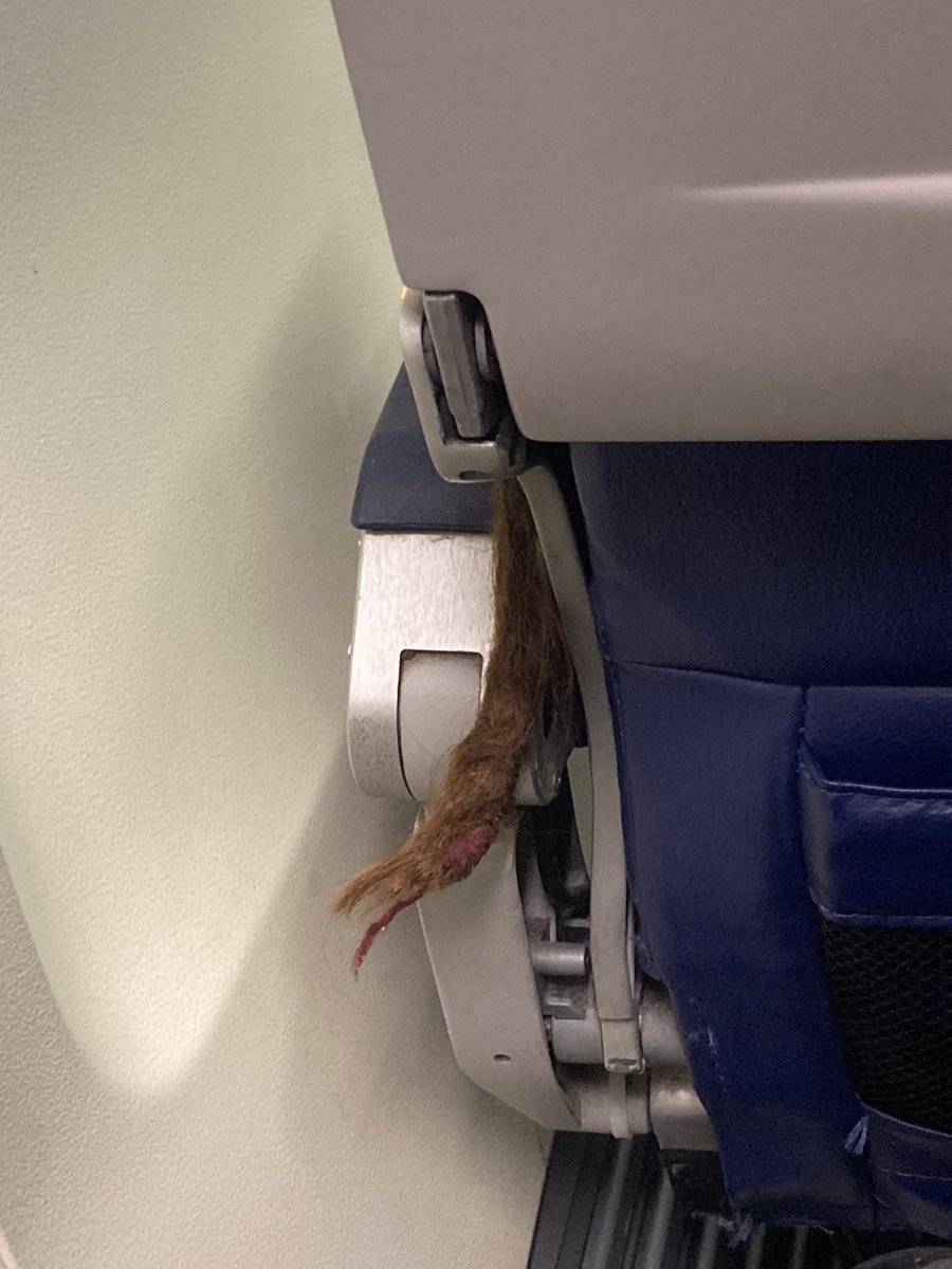 puffybally90's tweet photo. spotted my first white person dread on the flight back to portland https://t.co/SbOKNeBNb1