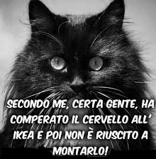 #senzaAvere capito come fare...