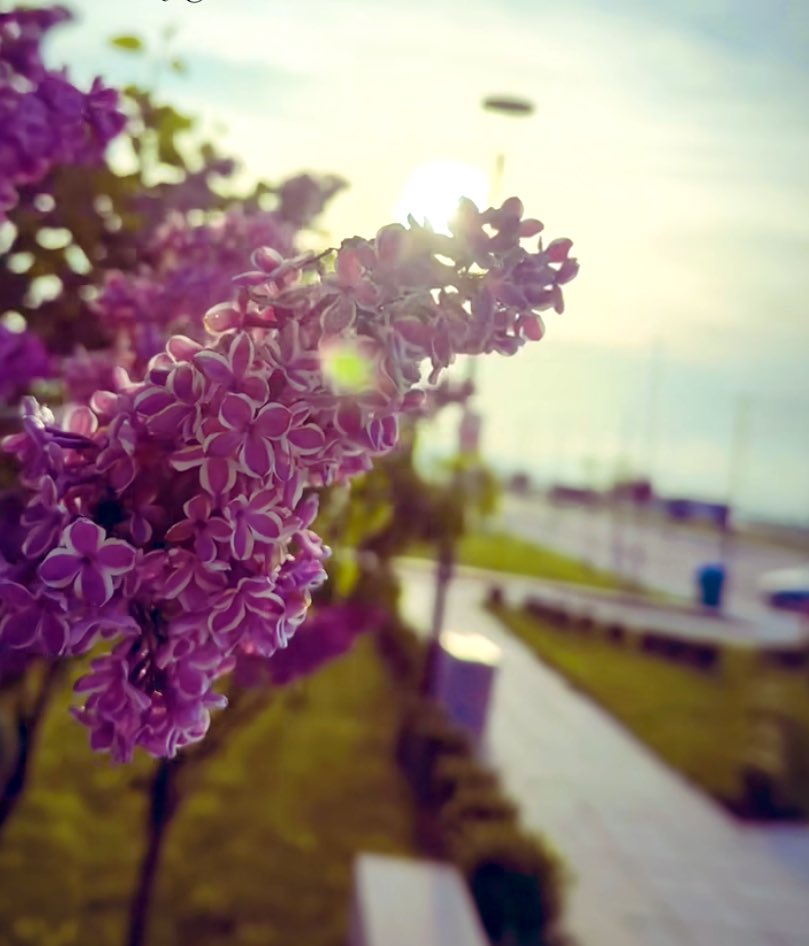 Kaldır o yüzünü… başını dik tut!

Günaydın 🍃🌱