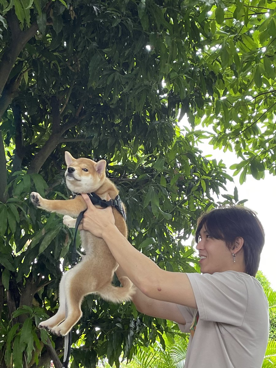 yinyin_anw's tweet photo. ตัวเดิมแน่นะครับหนักม้ากกก
#AYearwithZulu https://t.co/QQyp2PvIh7