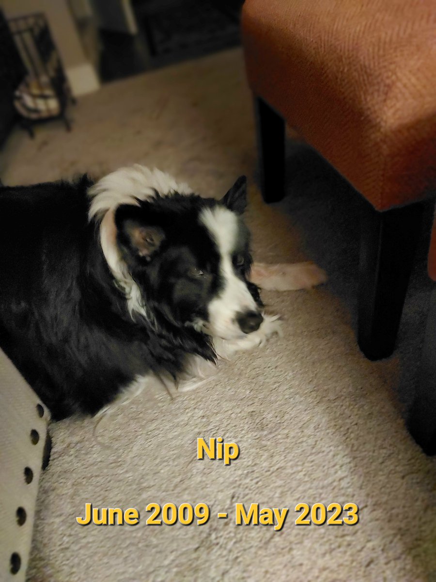 𝙲𝚘𝚕𝚍 𝙲𝚘𝚖𝚏𝚘𝚛𝚝™ tweet media