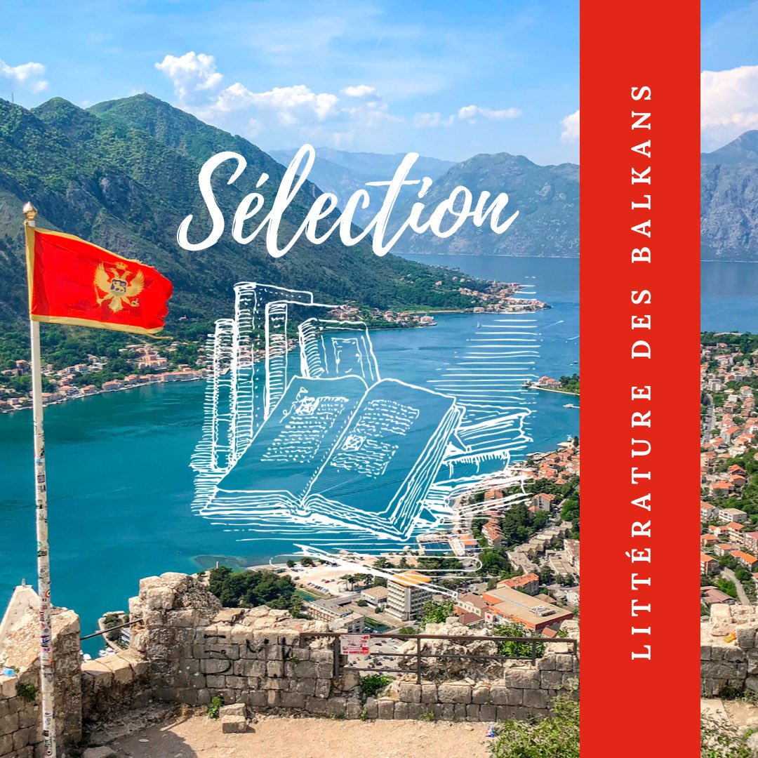 Fauves Editions tweet media