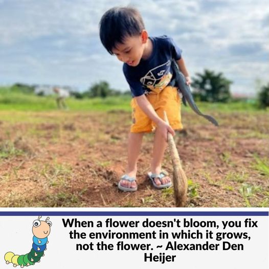 When a flower doesn't bloom, you fix the environment in which it grows, not the flower. ~ Alexander Den Heijer

Luangkan masa bersama dan benarkan mereka bebas bermain.

#beloncas #bermaintanpagajet #playislearning #playmatters #smarparenting