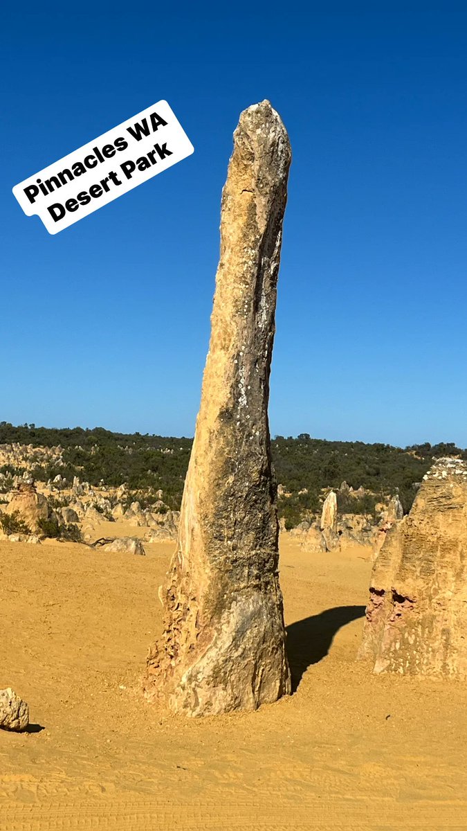 The PInnacles Desert Western Australia #pinnacleswa #desitinationwa #wadestination #travelaustralia #travel #lifestyletravellers #lapofaustralia #bestlife