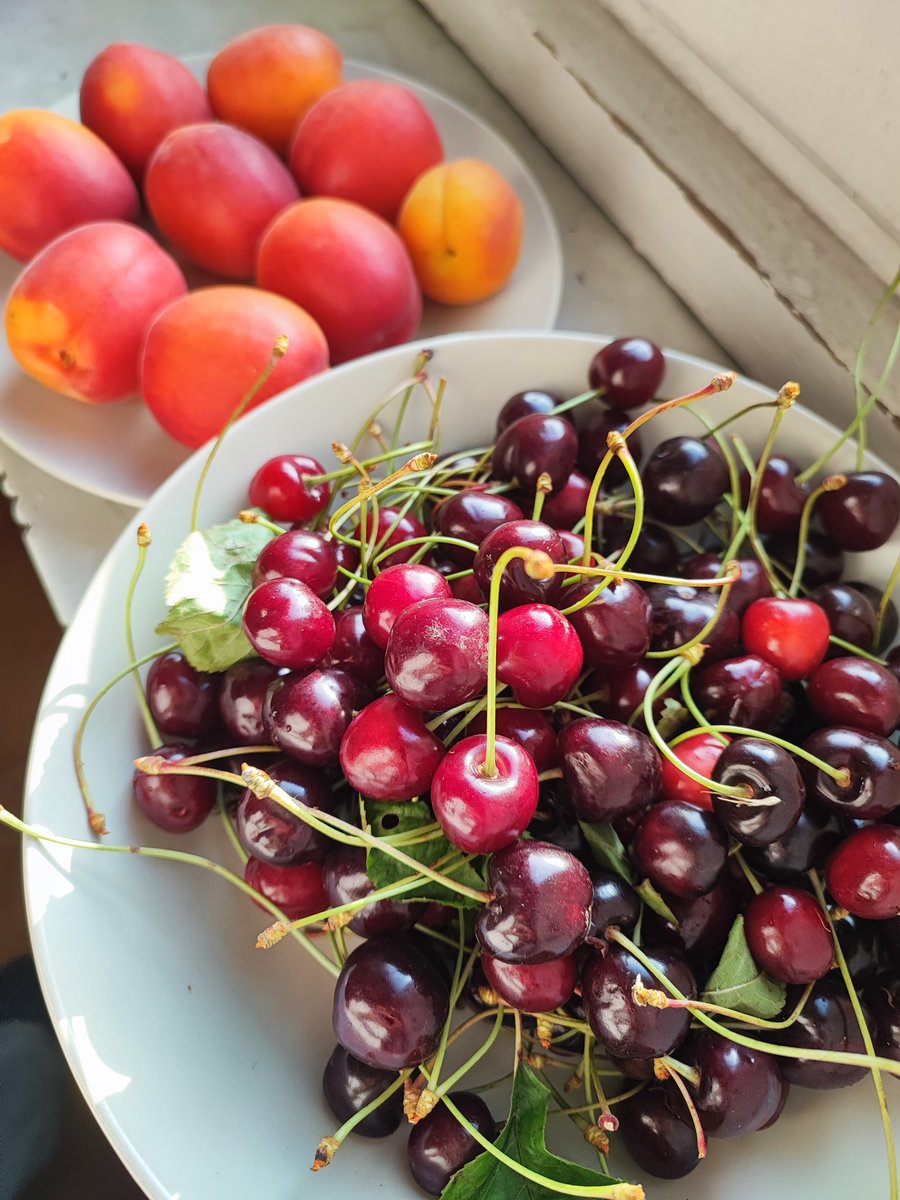 初夏 https://t.co/w3RuHnifPq