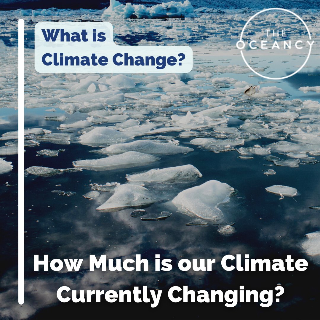 The Oceancy tweet media