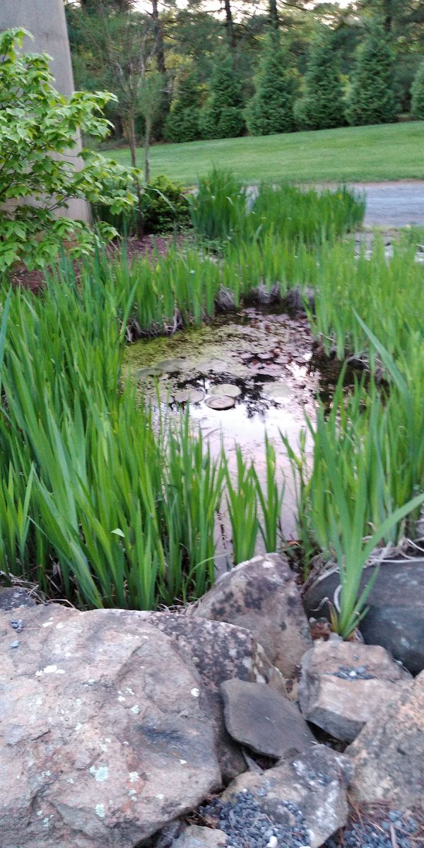 New town every hour on Twitter "Mount Airy, Maryland Population 9,458