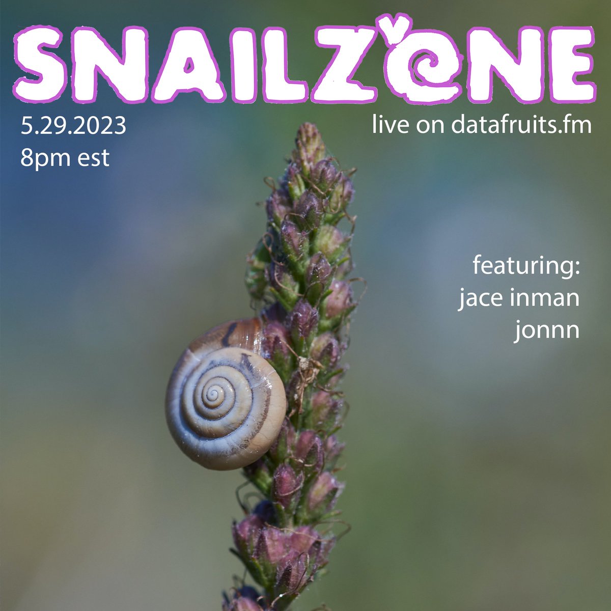 ₛₙₐᵢₗzₒₙₑ tweet media