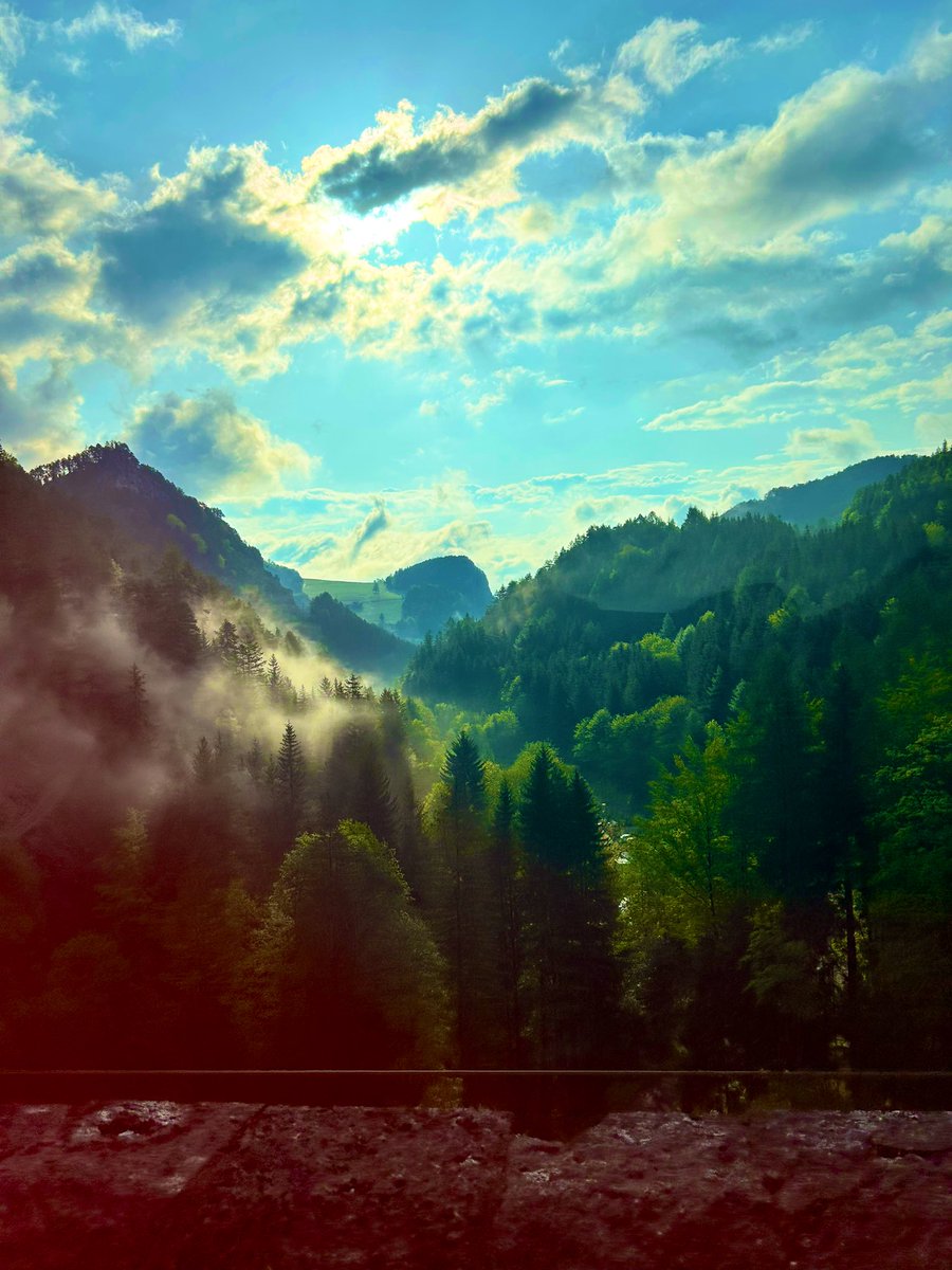 The most iconic views on the famous #KarlGhega trainride over the #Semmering. #Austria 🚂🏔️
