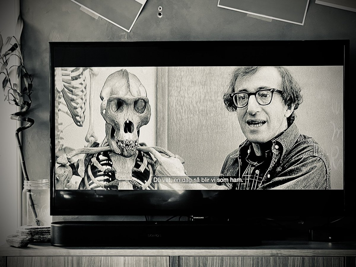 Some day we will be like him. Go meta. #WoodyAllen #movie #Death #classicmovie #Manhattan