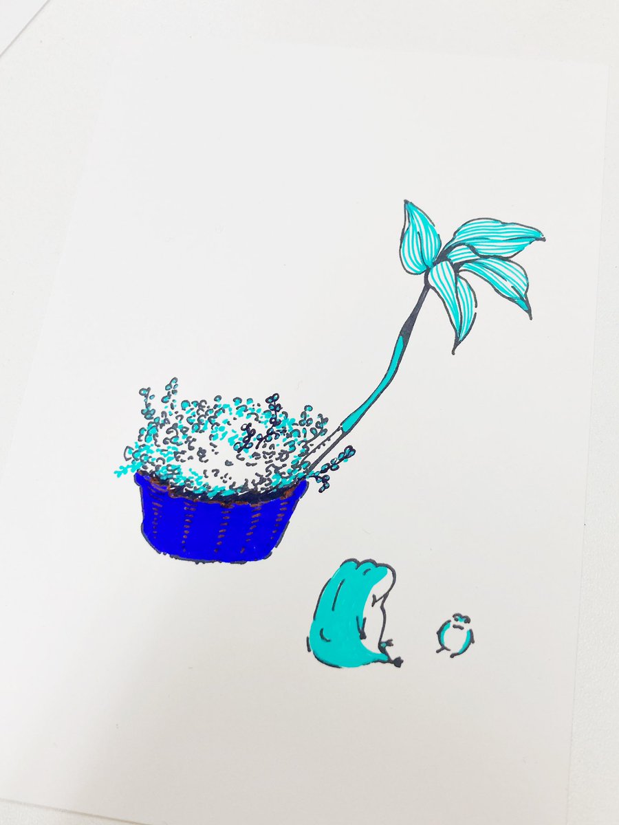 スケッチとセットのミニ盆栽ワークショップでした🌱 どんぐり芽とか楓の種拾ってきても良いよ🍁 #ワークショップ