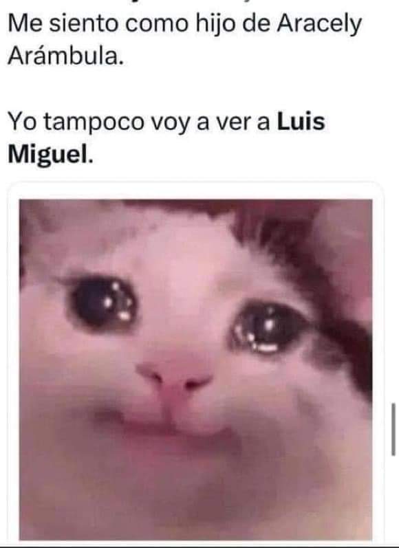 * Blue Sky tweet media