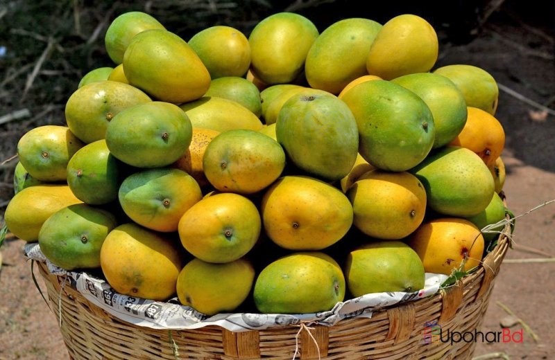 Every day of the summer🌞, start the day with ripe mangoes🥭🥭. You can also send it to your loved💞 one. To place orders visit➡️ upoharbd.com/fresh-fruits-a…
#mango #ripemango #summerfruit #deliciousmango #mangolover #giftforparents #giftideas