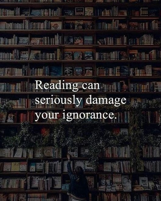 Reading can seriously damage your ignorance.