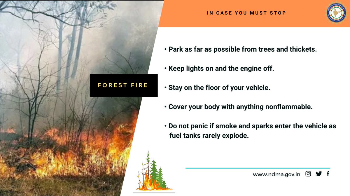 #ForestFire: In Case You Must Stop.

#ForestFire